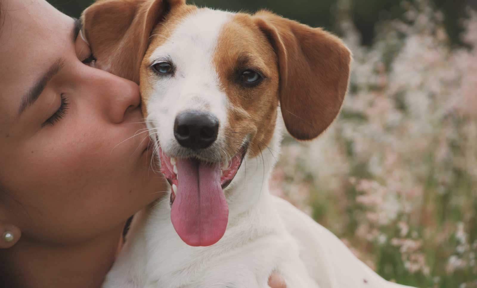 Fostering a dog has proven to drastically reduce loneliness and depression